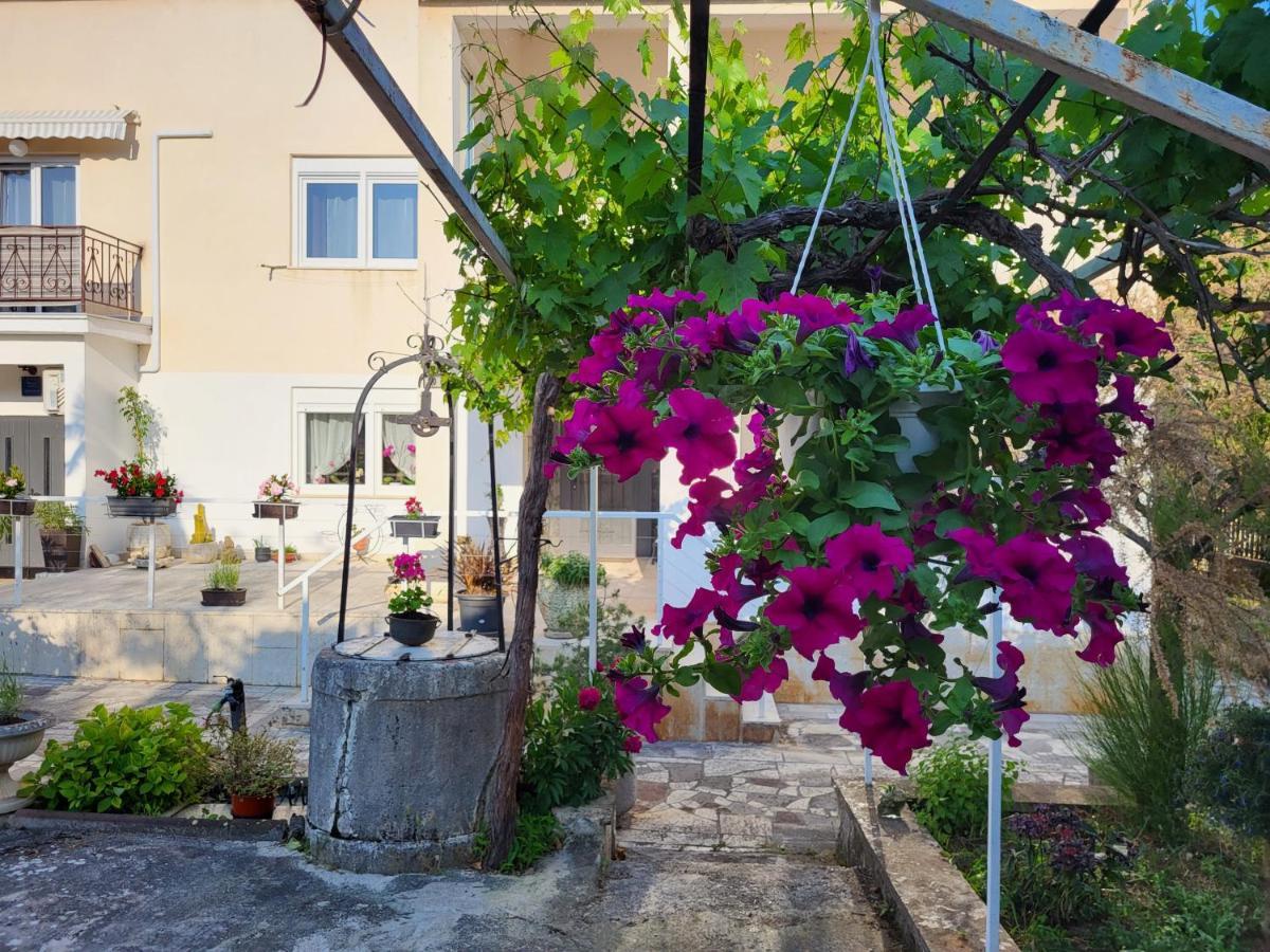 Villa Salvia Rooms And Apartments Rovinj Exterior foto